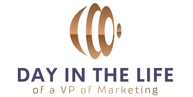 of a VP of Marketing – Lisa Schwartz